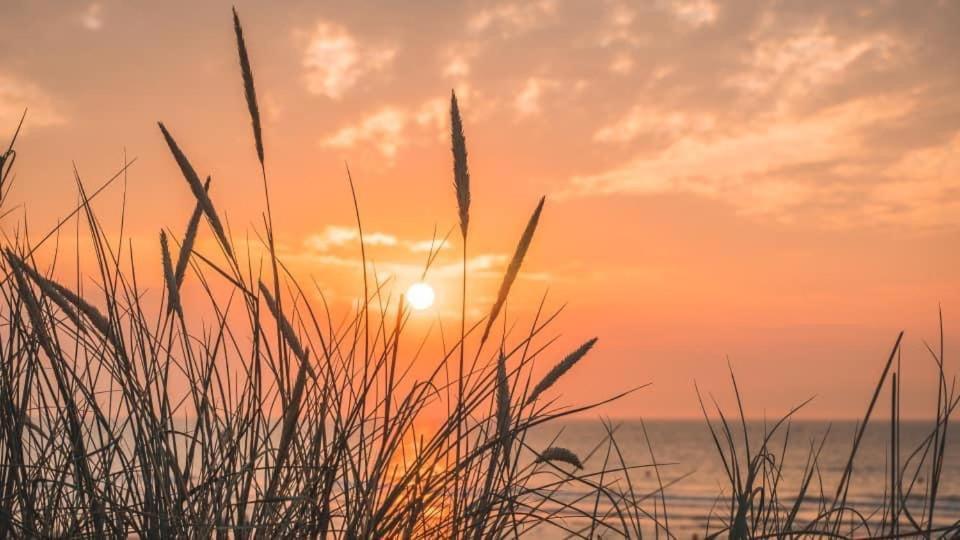 Duinendaele 232 Met Sauna Bij Plopsaland En Natuurreservaat De Panne Εξωτερικό φωτογραφία